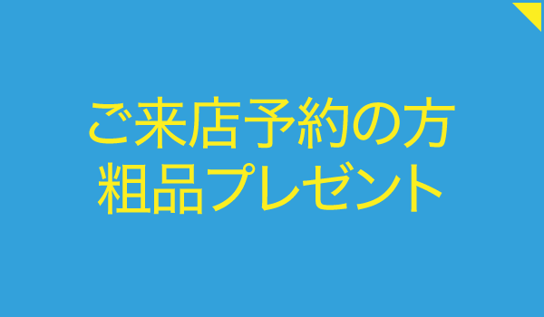 アイギス三河エージェンシー