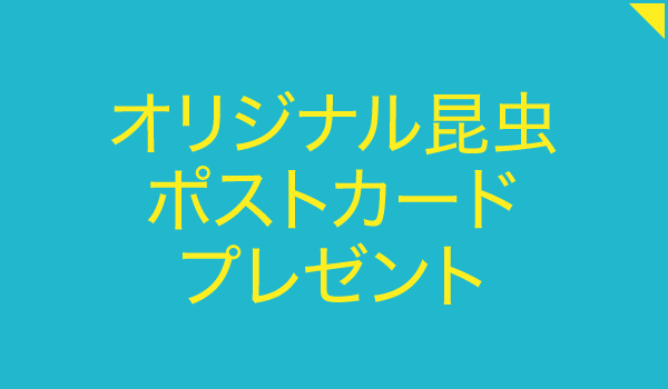 磐田市 竜洋昆虫自然観察公園