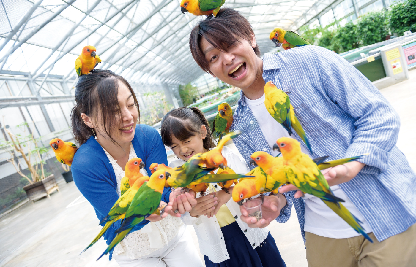 掛川花鳥園