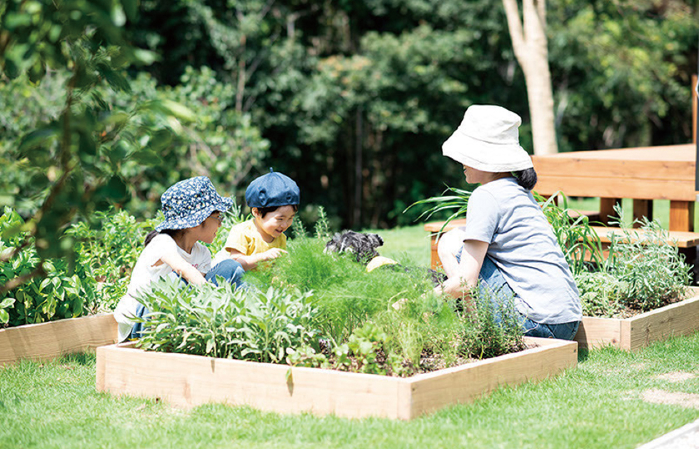 GARDENS GARDEN 岡崎西