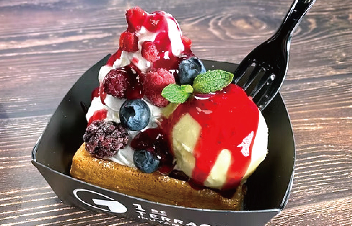 1st TERRACE INUYAMA（ファーストテラス イヌヤマ）